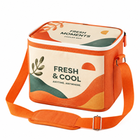 Sac isotherme pliable personnalisé avec logo, pour pique-nique, repas, avec doublure séparée, pour le bureau et les activités de plein air