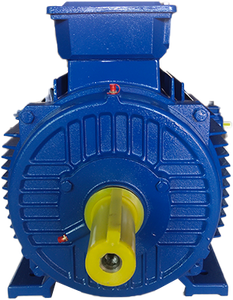 A tre fasi motore elettrico per l'industria chimica - Product Image 6