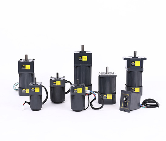 Directly Supplied 6W-250W 220V Single-Phase Speed Regulating Motor Controllers AC Three-Phase Reduction Gear Motor