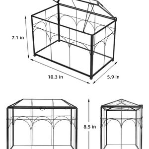 Terrario de Vidrio Grande y Alto para Plantas, con Tapa, para Interiores, de Sobremesa, para Orquídeas y Suculentas - Product Image 5
