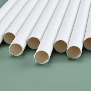 Biodegradable Disposable Customized Paper Drinking Straws