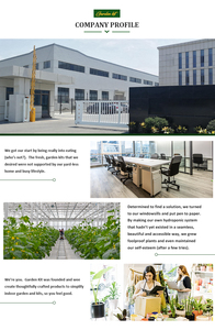 Produits pour la maison et le jardin intérieur <span class=keywords><strong>petit</strong></span> planteur de maison système de culture hydroponique de légumes plateau microgreen kit de culture - Product Image 3