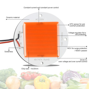 Chip <span class=keywords><strong>Led</strong></span> Công Suất Cao Chip <span class=keywords><strong>Led</strong></span> <span class=keywords><strong>Cob</strong></span> <span class=keywords><strong>200</strong></span> W Chip <span class=keywords><strong>Led</strong></span> Cảnh Sát Phát Triển Toàn Phổ Chip <span class=keywords><strong>Led</strong></span> DOCB Epistar <span class=keywords><strong>200</strong></span> <span class=keywords><strong>Watt</strong></span> Đầy Đủ - Product Image 5