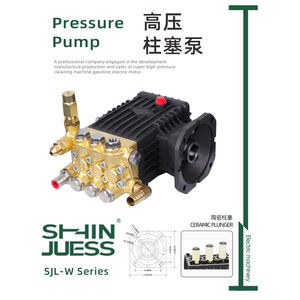 Bomba de Agua Autocebante de Pistón de Alta Presión Shin Juess 250 Bar de Bronce Fundido - Product Image 5