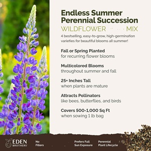 Kit de jardin de maison d'été sans fin sac de paquet de fleurs pour la plantation de printemps et d'automne <span class=keywords><strong>Pot</strong></span> de succession <span class=keywords><strong>vivace</strong></span> suspendu à utiliser sur les sols - Product Image 6