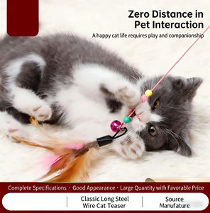 Jouet classique de luxe pour chat en fil d'acier long, durable, pour l'exercice, anti-ennui, motif uni, en plastique, Hebei - Product Image 4