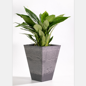 Vente <span class=keywords><strong>en</strong></span> gros Grande jardinière <span class=keywords><strong>d</strong></span>'extérieur Pots de fleurs rectangulaires <span class=keywords><strong>d</strong></span>'intérieur et <span class=keywords><strong>d</strong></span>'extérieur pour <span class=keywords><strong>porte</strong></span> <span class=keywords><strong>d</strong></span>'<span class=keywords><strong>entrée</strong></span> - Product Image 5