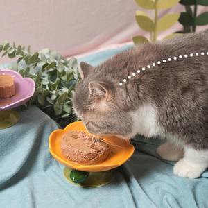 Fabrikant Logo Huisdier Keramische Kom Schattige Bloemenkom Ingeblikte Dinerplaat Verhoogde Bescherming Cervicale Wervels - Product Image 3