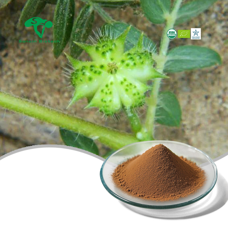 Высокое качество, поставка с завода, 100% чистый экстракт Tribulus Terrestris, 40% Tribulus Saponins