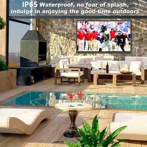 Televisor LED para Exteriores de 55 Pulgadas, IP65, 1500 Nit, con Atenuación Local, Pantallas Grandes para Eventos - Product Image 5