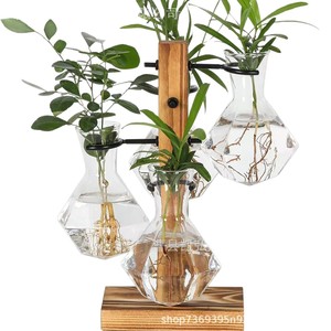 Soporte creativo de madera y vidrio para plantas pothos, macetas de vidrio con múltiples orificios, decoración de escritorio. - Product Image 5