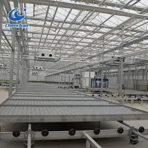 Chenchao 4x8 Tray And Rolling Bench For Hydroponic Agriculture Nursery Planting Ebb And Flow In Greenhouse