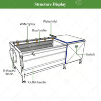 Groente Fruit Ui Aardappel Schilmesje Fruitwasser Prijs Bubbelwasser Cassave Schilmachine Motor 110V/220V/380V 1 Jaar Garantie