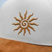 Fabrieksdirecte verkoop op maat geborduurde high profile streetwear stijl katoenen unisex 5-panel gestructureerde baseball caps