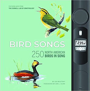 Tablero de <span class=keywords><strong>cuentos</strong></span> en inglés para niños de tamaño A4 personalizado Impresión de libros Efecto de sonido Cubierta dura Offset Música LCD Papel Material de cartón - Product Image 3