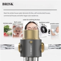 Préfiltre pour éliminer les sédiments, système de lavage à contre-courant automatique 40 microns, filtre à eau domestique, préfiltre à eau avec inhibiteur de calcaire