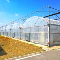 YGreenhouse Agriculture Serre Verte Tomate Hydroponique Film Plastique Couvert Serre