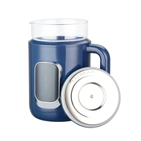 Bouilloire électrique multifonction en verre et plastique bleu avec infuseur pour tisanes, thés aux fleurs et eau bouillante