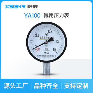 Manomètre à vide Suzhou Xuansheng Ya100 100 mm -0,1 à 1,5 MPa pour ammoniac, raccord fileté en acier - Product Image 5