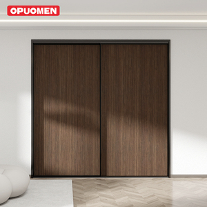 Moderno Trending in alluminio chiaro profilo grafite omogenea piastra riempita scorrevole in legno porta interna per alberghi centri commerciali - Product Image 2