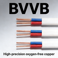 Câble plat BVVB double et terre 300V/500V, isolé PVC, gaine PVC, âme en cuivre massif, fil électrique domestique, rouleau de 100m