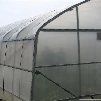 Insektennetz-Haus für landwirtschaftlichen Gebrauch