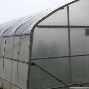 insect net house for agriculture use
