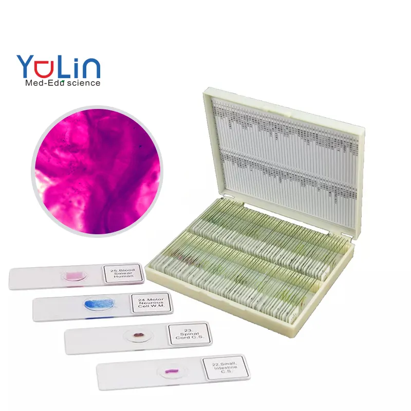 Educational equipment Medical science Microscope prepared slides embryology microscope slides 30 pieces