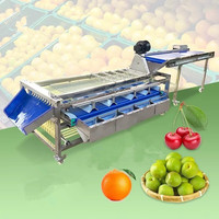 Nieuwe Navel Sinaasappel Fruit Selectie- en Sorteermachine Betelnoot Zeefmachine Kersentomaat Passievrucht Sorteermachine Gouden Mandarijn TW