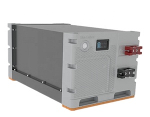 Batteria Blue Carbon 24V 200Ah 250Ah 300Ah Lifepo4, Pacco Batteria 100ah Lifepo4, Sistema di Accumulo Energia Solare con BMS - Product Image 1