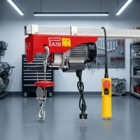 Mini palan électrique 300 Kg 500 Kg 1000 Kg Capacité de levage Palan à câble métallique avec chaîne en acier 220V pour ferme et hôtels