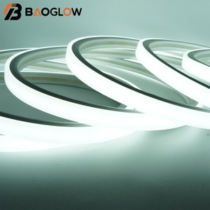 IP 67 Waterproof <b>SMD</b> 2835 240 <b>LED</b> Flex Strip 8MM 10X10 220V 50m/roll Tape Light Flexible Outdoor Lighting Room Atmosphere Decor - Product Image 3