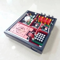 Maroon Audio Purifi 1ET6525SA / Hypex NCx500 Class D Power Amp, Amplifier Mono/Stereo Kelas Atas untuk Audiophile