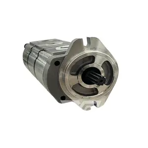 Taiwan Stainless Steel Small High Pressure Gear Pump BD Series Hydraulic Oil Pump For Small Cylinder Kawasaki