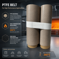 Bande transporteuse en fibre de verre résistante aux hautes températures, perforation à 11 trous, antistatique, antiadhésive, résistante à l'usure pour panneaux solaires