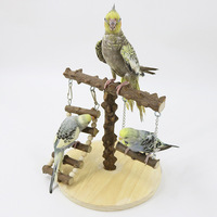 Perchoir en bois d'ash épineux pour perroquet avec échelle, balançoire et perchoir d'entraînement – Aire de jeux naturelle en bois massif pour oiseaux