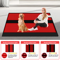 Tapis de yoga et couverture de luminothérapie rouge intégrale 2520 LED 660nm 850nm proche infrarouge pour soulagement de la douleur et relaxation