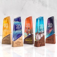 Trophée en cristal de laboratoire personnalisable, médaille écologique, récompense créative, employés exceptionnels, cadeaux d'affaires haut de gamme
