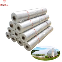 Film d'agriculture transparent blanc de 6 mil avec résistance aux UV, film plastique PE de 200 microns, film de serre pour plantes, poivrons, ananas