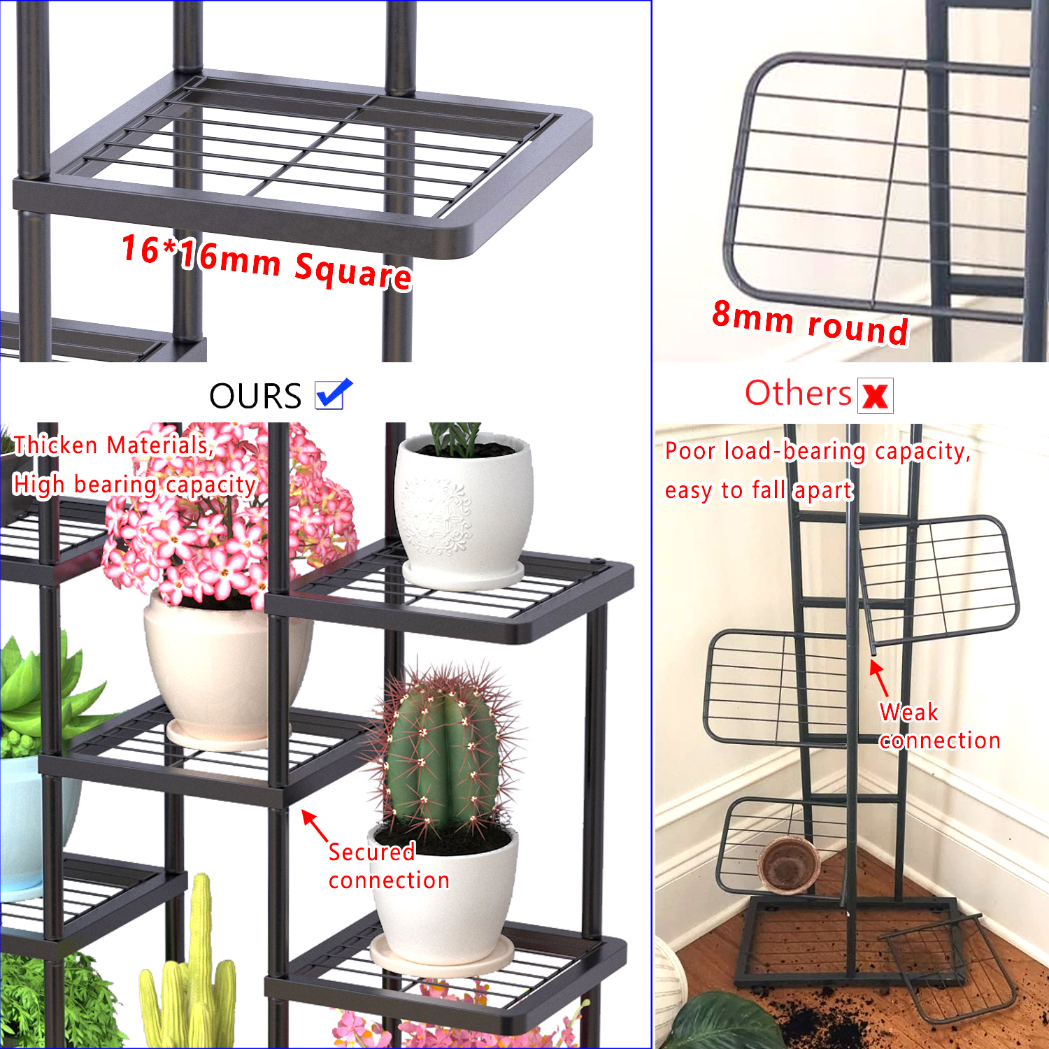 How to Choose the Best Money Plants Holder for Your Space