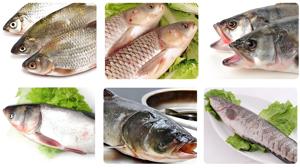 Die heißeste fliegende Fisch reinigungs maschine Speed Fish Cleansing Machine Automatische Fisch reinigungs-und Schneide maschine - Product Image 5