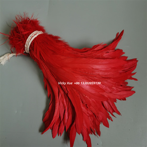 Plumas de Cola de Gallo Teñidas de Rojo para <span class=keywords><strong>Disfraz</strong></span> de Carnaval y Accesorios de Tocados de Plumas para <span class=keywords><strong>Mujer</strong></span> DIY - Product Image 3