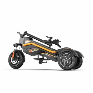 Prezzo al dettaglio del magazzino dell'ue triciclo elettrico fuoristrada 1000W 3 ruote pneumatici grassi triciclo elettrico piegato ad alta velocità con sedile