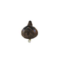 Leurre de chasse 3D flottant en plein air personnalisé de taille réelle colvert Drake et poule matériau EVA souple pour la chasse au canard