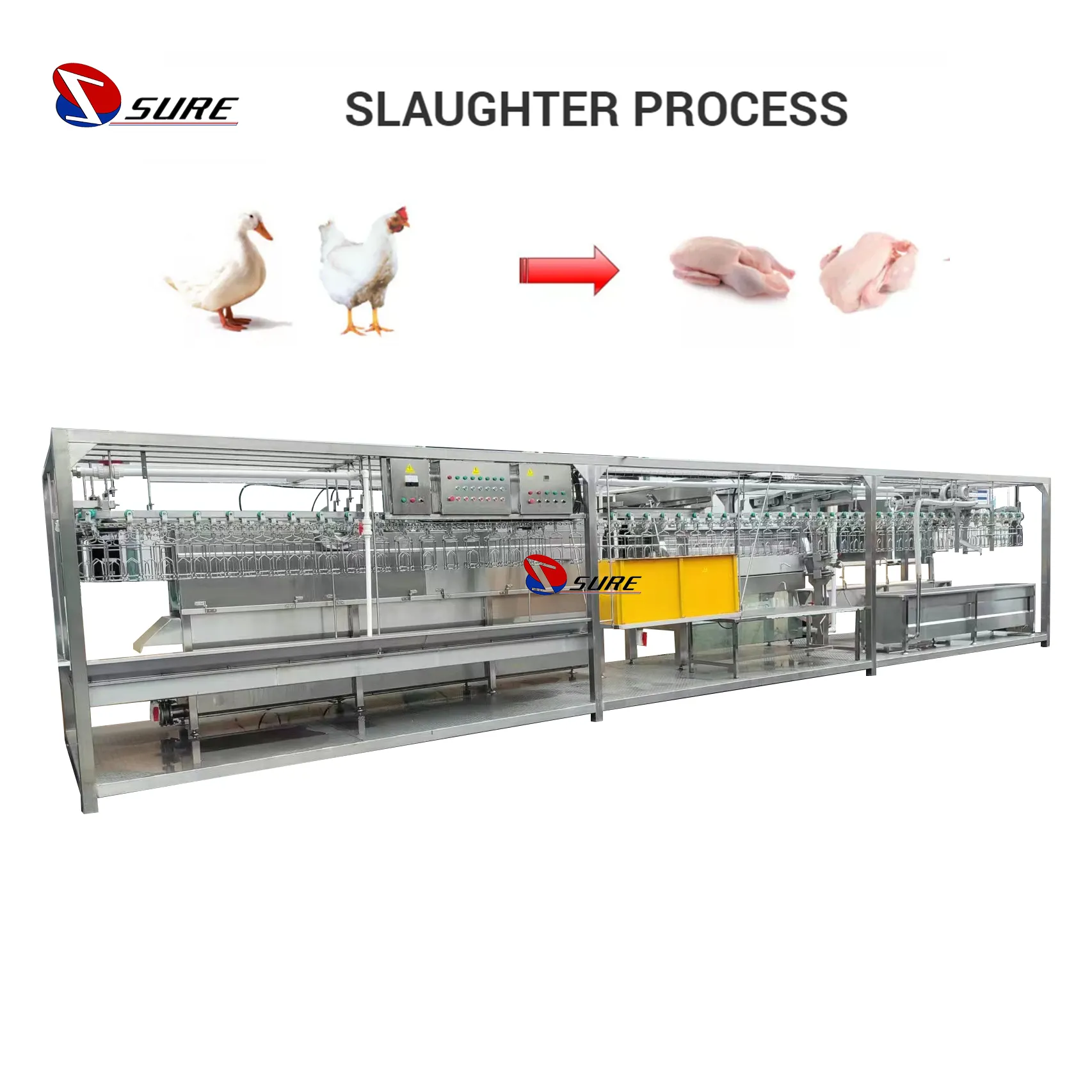 自動家禽食肉処理ライン殺し鶏食肉処理装置