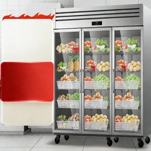 Abbattitore di Temperatura e Congelatore con Garanzia di Un Anno per Macellerie e Lavorazione della Carne - Product Image 6