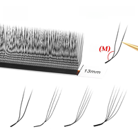 Extensions de cils YY en forme de U 2D/3D/4D/5D/6D, cils croisés parallèles CC D L M Curl, 0,07 mm