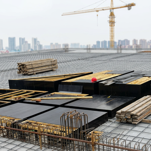 Vietnam 4x8 9mm Espesor Uso Construcción Encofrado Copha Materiales de construcción Marca ENVIGO Madera contrachapada de primera clase - Product Image 3