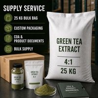 Extrait de thé vert en vrac 4:1 de qualité alimentaire, naturel, à base de feuilles de Camellia Sinensis, poudre d'extrait de thé vert de haute qualité