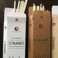 Paille à boire en blé de seigle naturelle, biodégradable et écologique